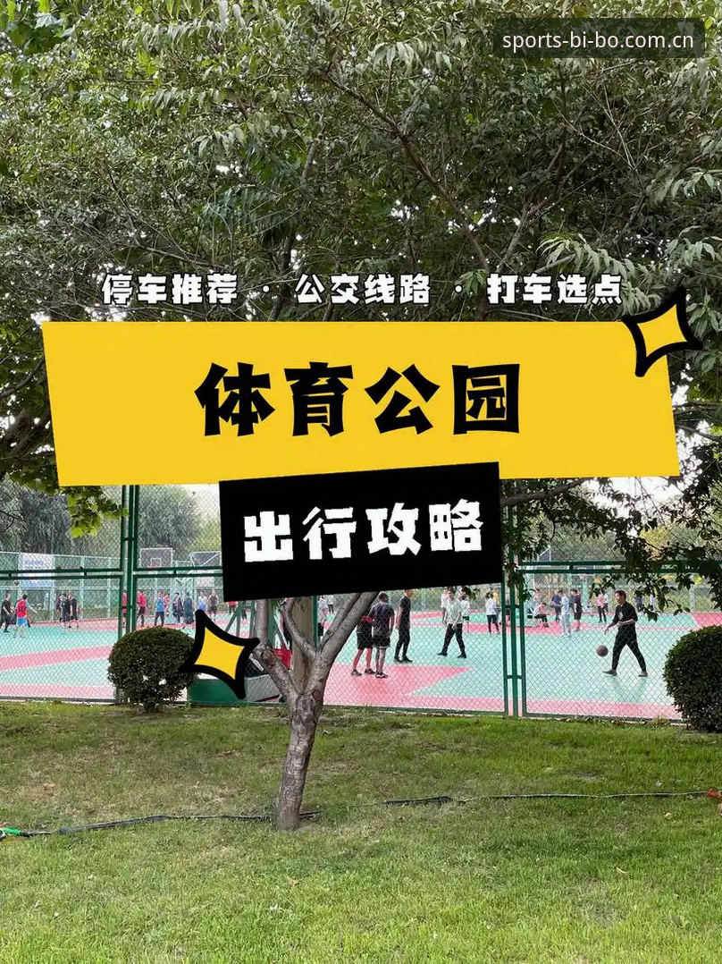 B体育平台下载链接常见问题完整指南：老用户教你避坑